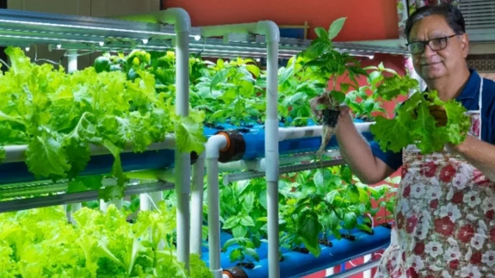 Hydroponics Course