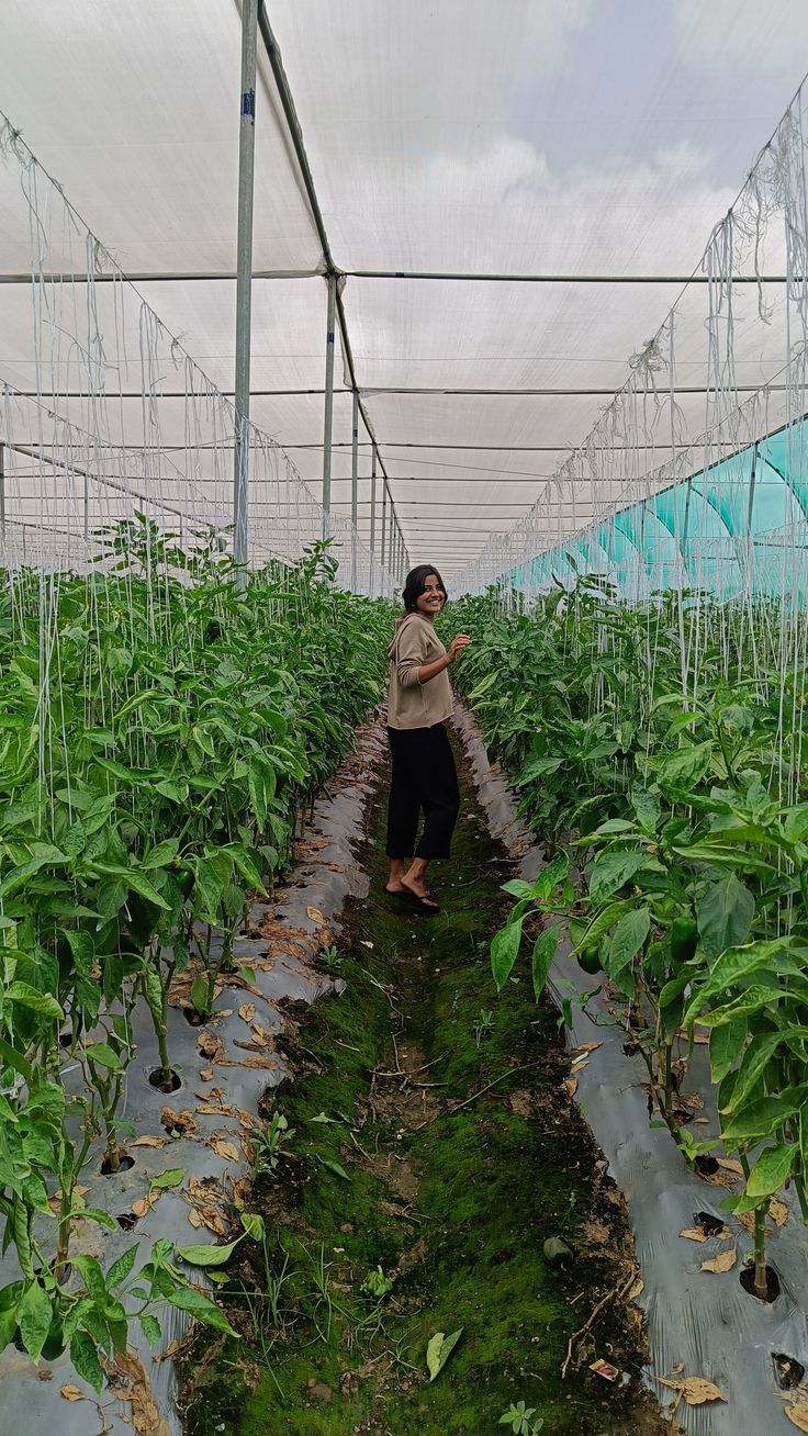 Polyhouse Farming Course