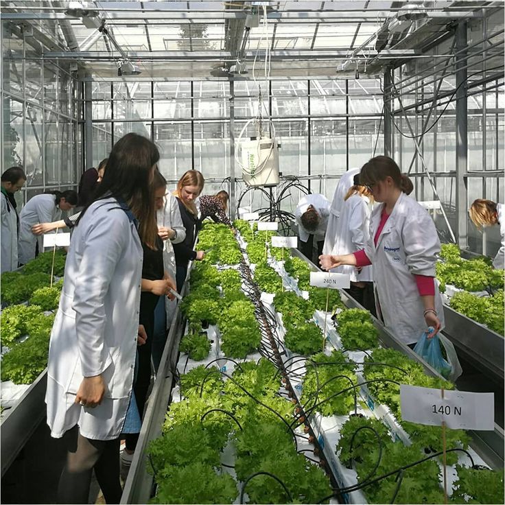 Women Farmer Convention
